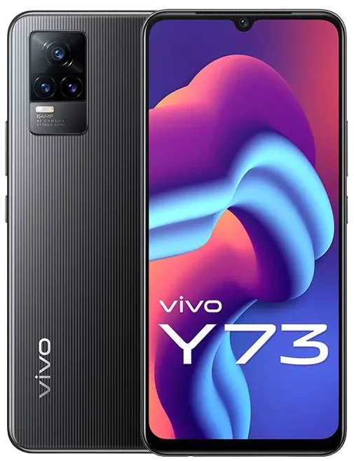 vivo Y73 image