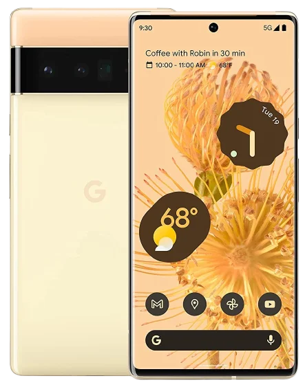 Google Pixel 6 Pro image