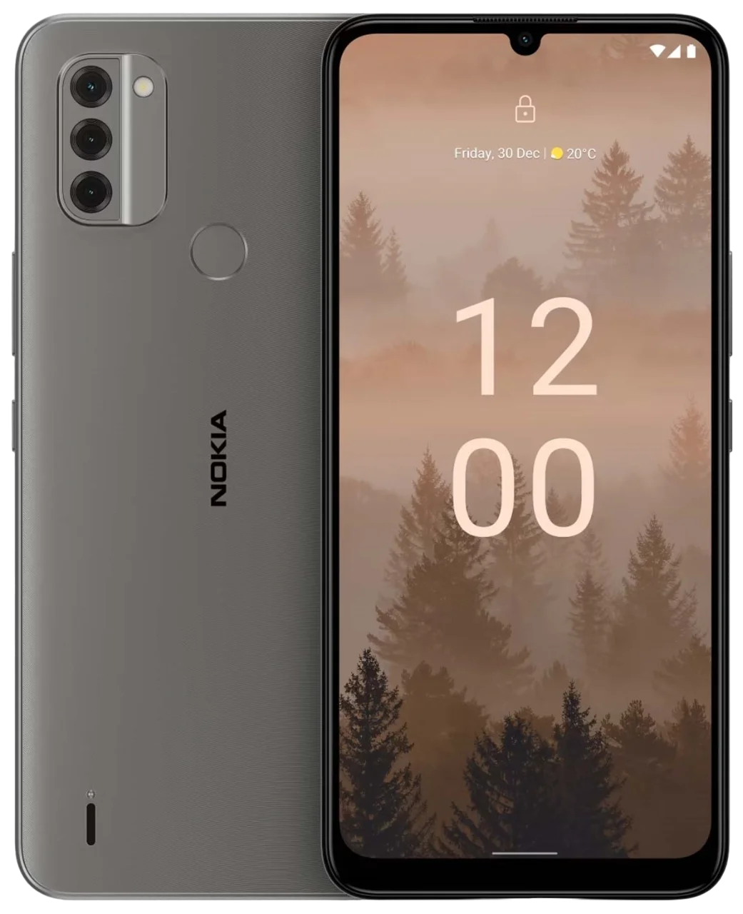 Nokia C31 image
